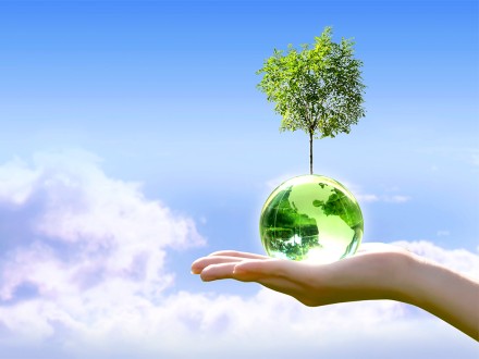 hand holding a crystal globe with a tree growing from it