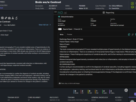 Screenshot of the NewVue Cockpit