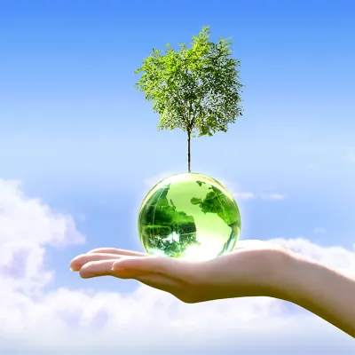 hand holding a crystal globe with a tree growing from it