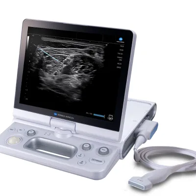 HS2 with probe showing SNV software